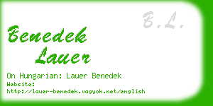benedek lauer business card